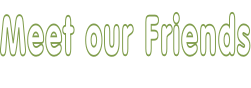 Meet our Friends